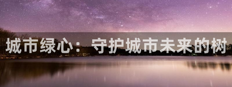 新宝GG—创造奇迹