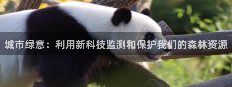 创造奇迹 新宝gg