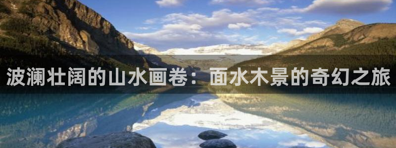 新宝新宝gg开户流程