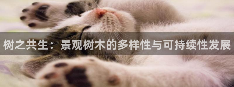 新宝gg登陆平台