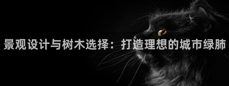 新宝gg一创造奇迹