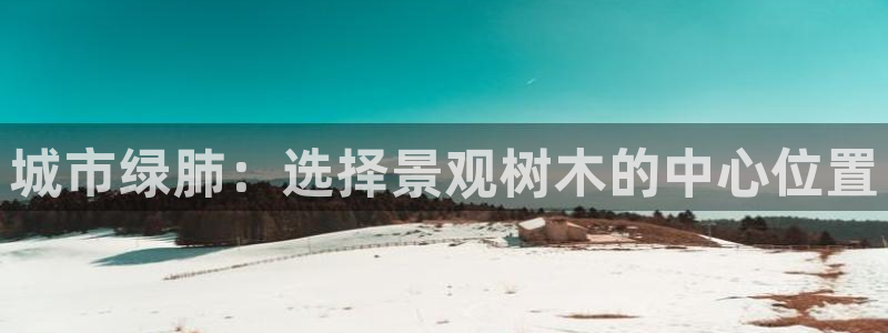 新宝gg平台首页