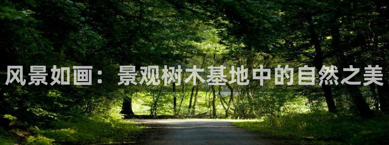 新宝_GG奇迹