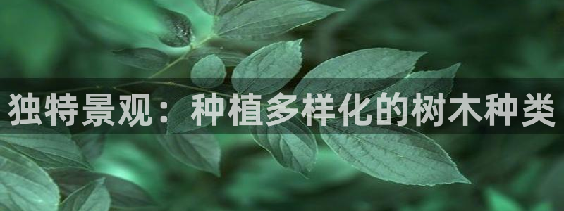 新宝gg网点