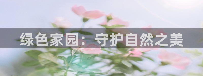 百度新宝gg