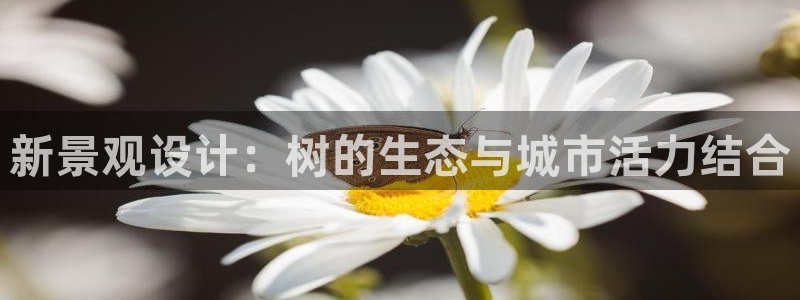 新宝gg提点
