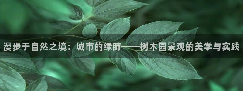 新宝gg打发