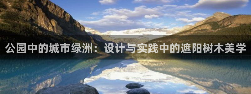 新宝gg客户端下载