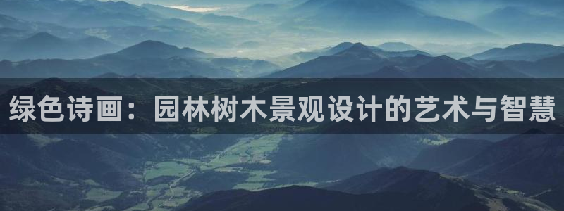 新宝GG管理