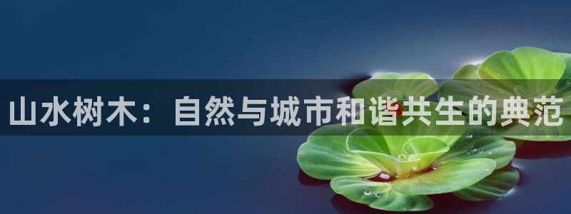 新宝gg会员