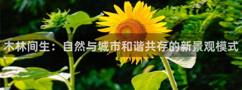 新宝gg吧