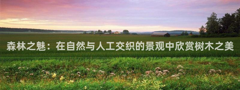 新宝彩票gg