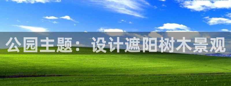新宝gg   创造