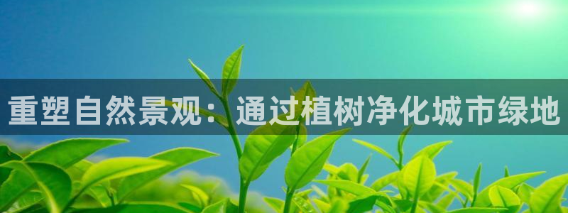 新宝gg如何代理