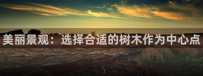 新宝gg 金苹果
