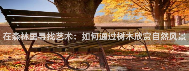 新宝GG绿色