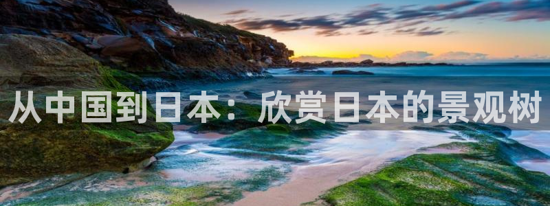认准新宝gg
