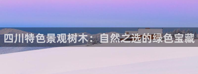 新宝gg软件