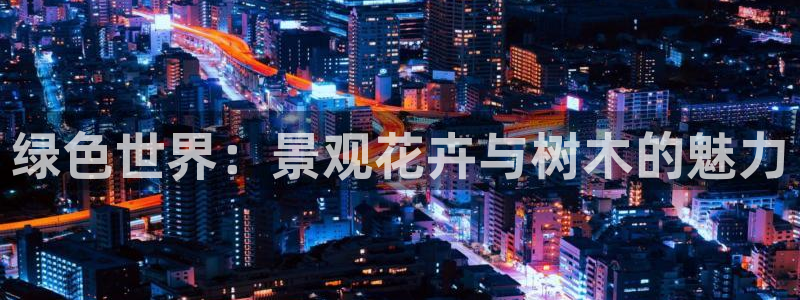 新宝gg 创造奇迹