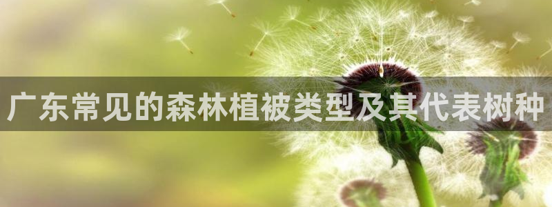 新宝GG娱乐下载