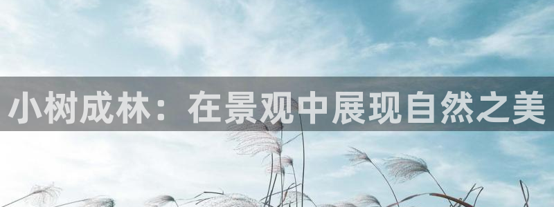 新宝gg指定平台