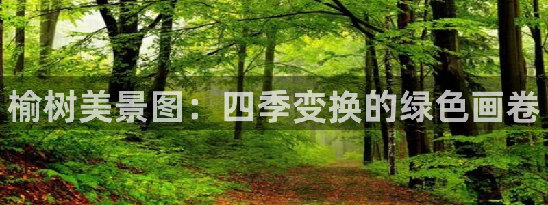 新宝gg直属上级