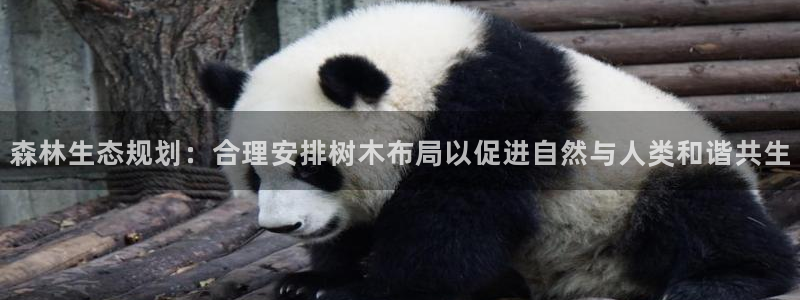 新宝gg怎样：森林生态规划：合理安排树木布局以促进自然与人类和谐共生