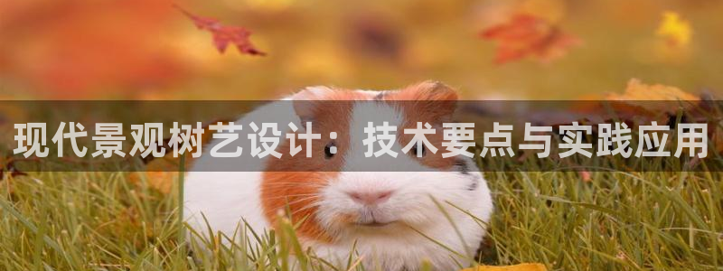 新宝gg登录登：现代景观树艺设计：技术要点与实践应用