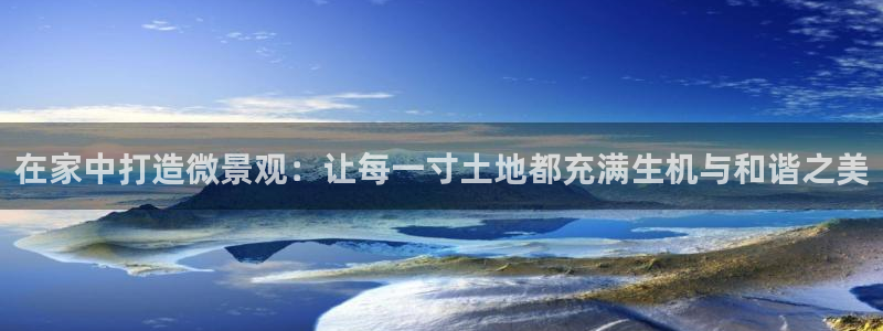 新宝gg评论