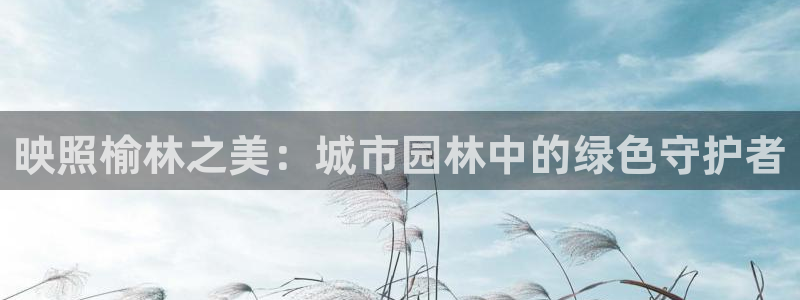 新宝GG绿色