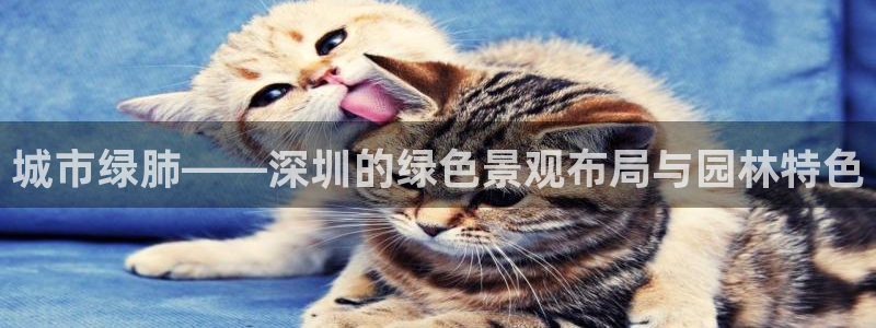新宝GG上级:城市绿肺——深圳的绿色景观布局与园林特色