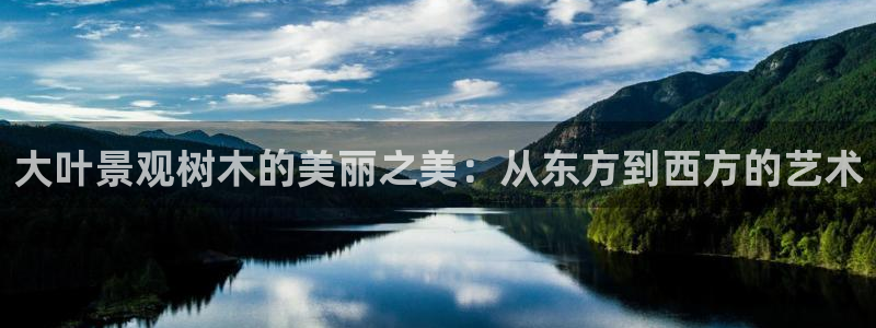 新宝gg老板64491:大叶景观树木的美丽之美:从东方到西方的艺术