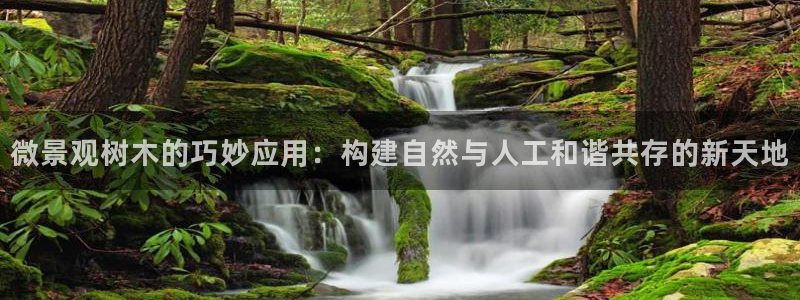 新宝gg龙腾:微景观树木的巧妙应用:构建自然与人工和谐共存的新天地