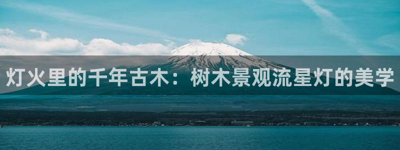 下载新宝gg怎么下载:灯火里的千年古木:树木景观流星灯的美学