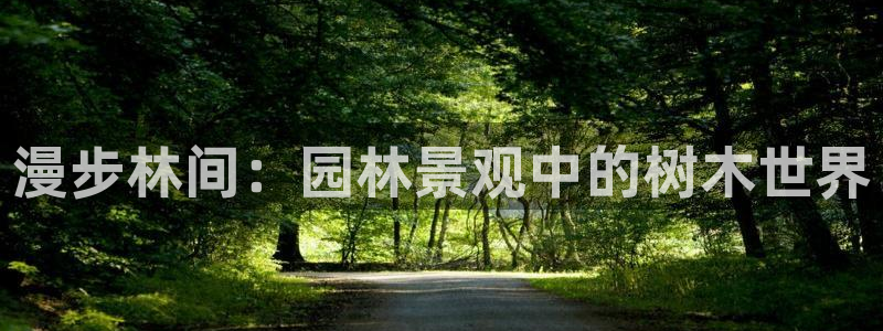 新宝娱乐gg:漫步林间:园林景观中的树木世界