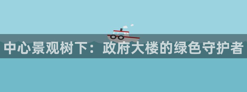新宝gg辅助