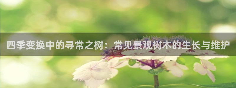 新宝gg创造奇迹下载