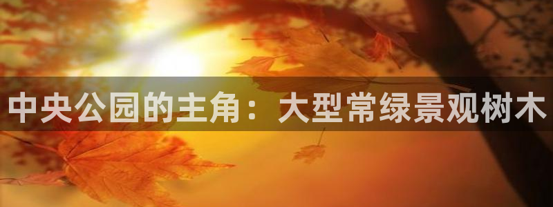 新宝gg软件下载